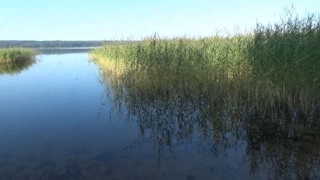 Обзор кемпинга Simple Camp (Симпл Кемп) в Приозерском районе ЛО на озере Суходолье близ Громово смотреть онлайн