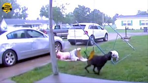 TOTAL IDIOTS AT WORK #38 | Moments You Must See To Believe 2024 Idiots At Work Got Instant Karma