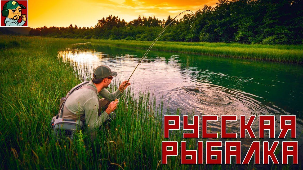 Русская Рыбалка 4 - Вечер в камышах (Медвежка)