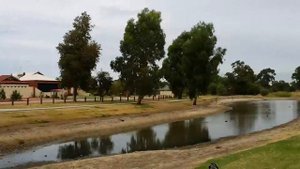 Австралия  ПОГОДА в  городе ПЕРТЕ  (столице штата Западная Австралия)