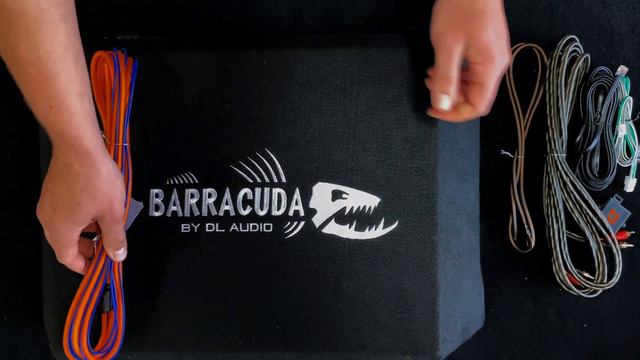 Активный корпусный сабвуфер DL Audio ™ Barracuda 12A Flat смотреть онлайн