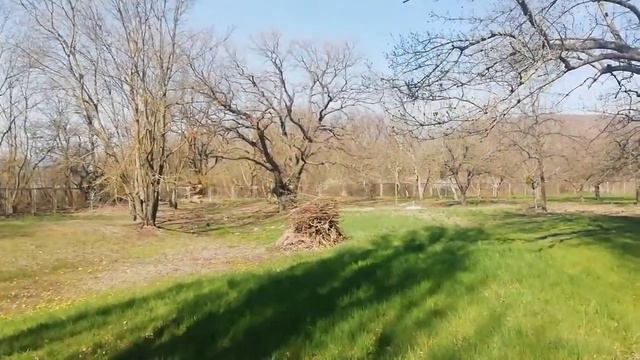 Супер местечко Минеральный источник Семигорье