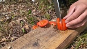 Обзор и тест ножа «Кукри» !