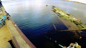 Ловля бычка и бельдюги в Балтийском море на поплавок!