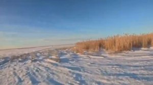 #волк #охота #hanting #охотникирыболов #охотники #джиперы  Охота на волков