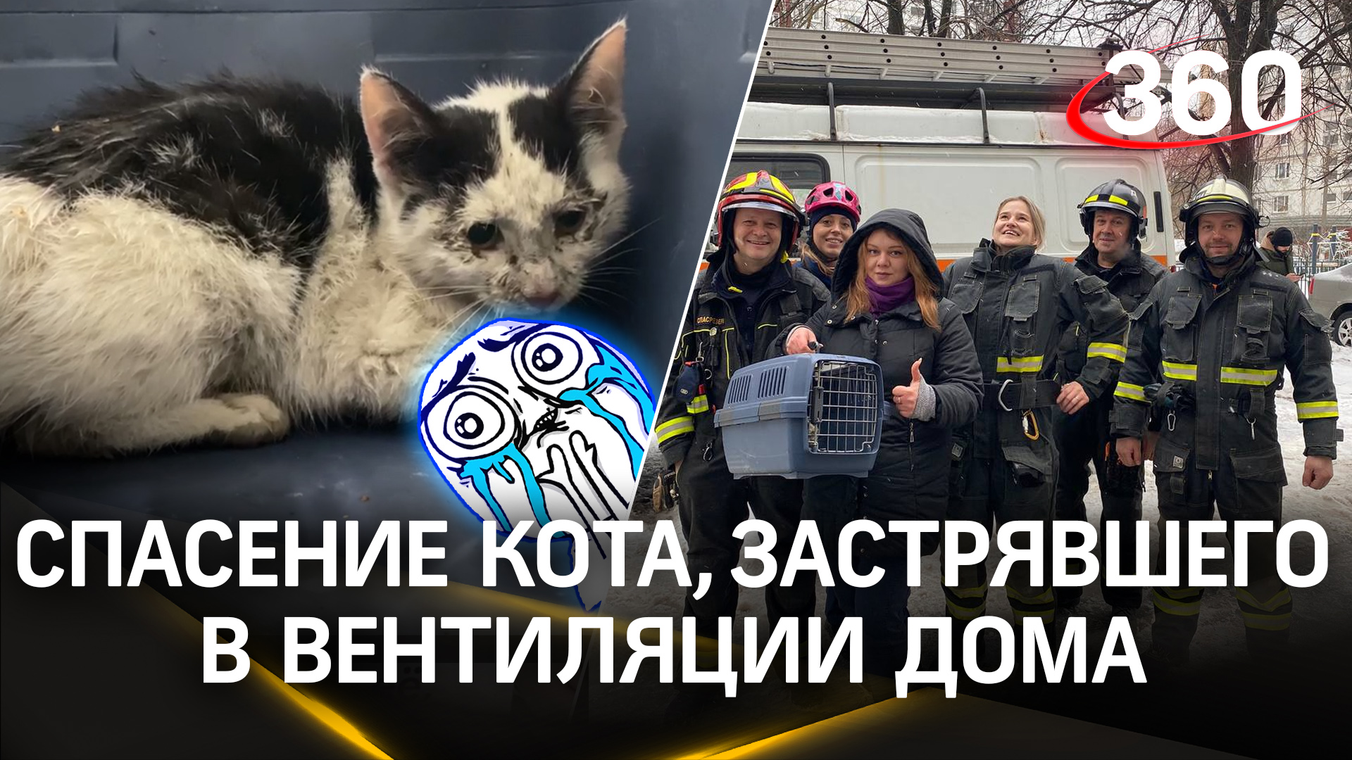 Пять дней без воды и еды: в Москве спасли кота, который застрял в вентиляции дома
