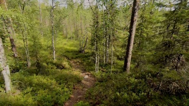 #5 ВОЛОК НА КУКАС. ОЗЕРО КУКАС И НЕ ТОЛЬКО... 04-17 АВГУСТА 2019 г. ЧАСТЬ 5 смотреть онлайн