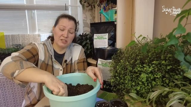 ИДЕАЛЬНЫЕ УСЛОВИЯ ДЛЯ РАССАДЫ РАННЕЙ КАПУСТЫ, КОТОРУЮ ВЫРАЩИВАЕМ ДОМА. ТАК РАССАДА НЕ ВЫТЯНЕТСЯ смотреть онлайн