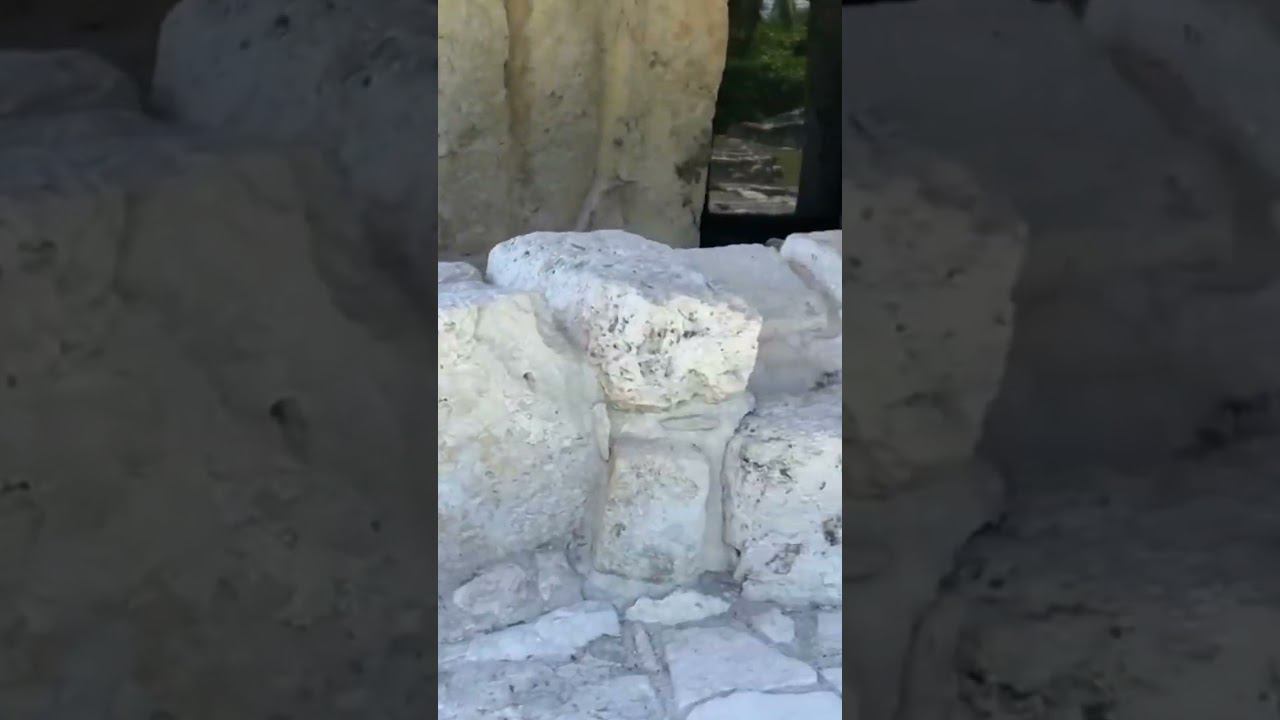 История и архитектура: Тайны дворца короля