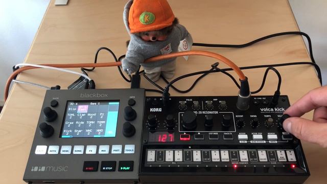 Trap 808 Kick Bass Tones Volca Kick 1010Music Blackbox Drums смотреть онлайн