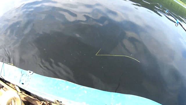 Хариус рыбалка смотреть онлайн