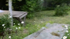 Приводим в порядок запущенный участок