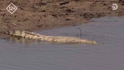 Луангва. Дикие реки Африки