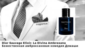 Dior Sauvage Elixir: La Divina Ambroxana - Божественная амброксановая комедия Демаши