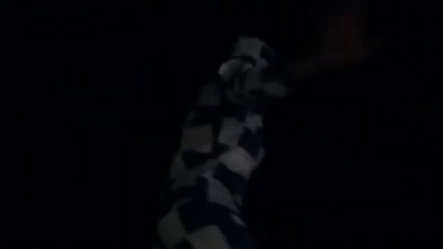 Animation program Coral Beach resort Hurghada 10/2017 😀 💖 😀 💖 смотреть онлайн