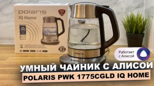 Купил умный чайник с Алисой Polaris PWK 1775CGLD IQ Home. Какие умные чайники не стоит брать?