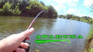 Со спиннингом и с Pontoon 21 Awaruna по реке Ворона