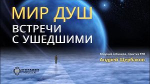 МИР ДУШ. ВСТРЕЧИ С УШЕДШИМИ | Андрей Щербаков