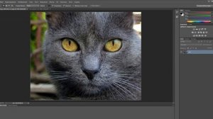 Photoshop CS6   № 1