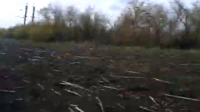 Бои палками от подсолнухов смотреть онлайн