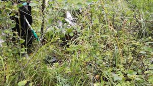 Коп Металла,Ищем Железо Вдоль Железной Дороги 2020!!!