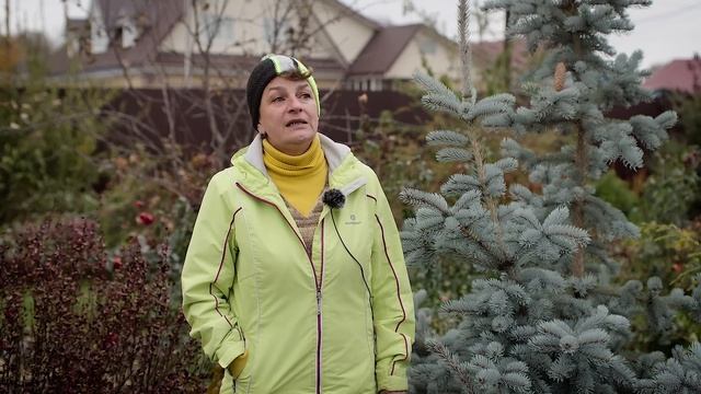 Десять важных дел ноября