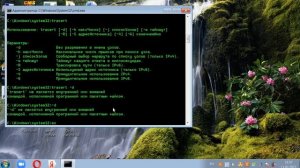 7 крутых команд для консоли виндовс #виндовс #консоль #команды