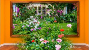 МУЗЫКУ можно УВИДЕТЬ   *