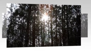 Ах вечерочек,а вечерок там пластиночка поет виниловая