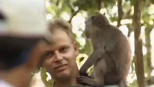 Золотой глобус 79 Бали смотреть онлайн