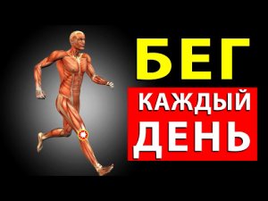 Что Произойдет с Телом, Если Бегать Каждый День