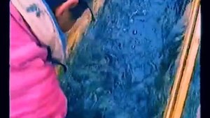 Индигирка, река Нучча, Хариус Grayling