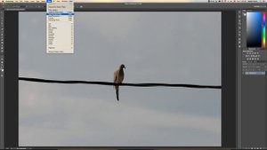 How to open images in Camera Raw from Bridge or Photoshop
