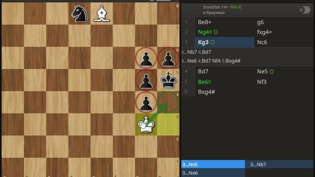 ПРЕКРАСНЫЙ МАТ СЛОНОМ-Шахматы #chess #шахматы #шахматыдлявсех