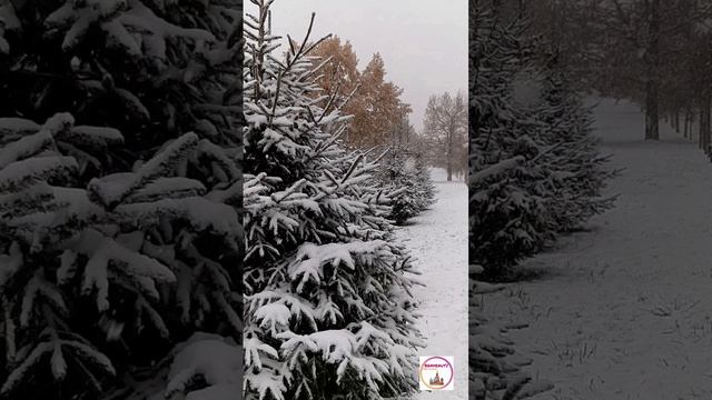 Первый снег в октябре. Москва.