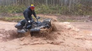 ЯМАХА ГРИЗЛИ 550 ПИКАЛЕВО 2