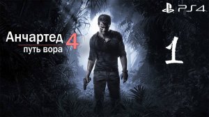 Анчартед 4: путь вора #1 (Sony Playstation 4)