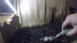 Экскурсия в червячник. Разведение червей в подвале для рыбалки.