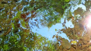 Игры отражений в воде.