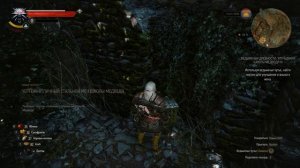 witcher3 Велен Ничейная земля Руины рыцарской башни Ведьмачьи древности Улучшения школы медведя