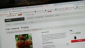 КАК Я ДЕЛАЮ ЗАКАЗ томатов У ВАЛЕРИЯ МЕДВЕДЕВА