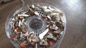 как приготовить грибной порошок/ приправа из грибов на зиму