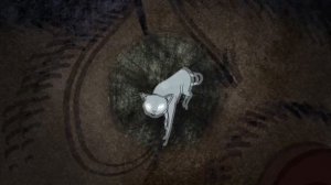 Edu: Как животные видят в темноте