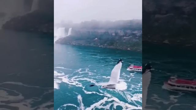 Niagara Falls, on the Canada-US border\Ниагарский водопад, на границе Канады и США