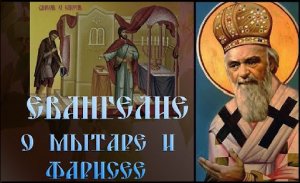 Евангелие о мытаре и фарисее. свят.  Николай Сербский