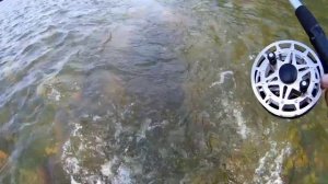 Как ловить хариуса на муть ??Рыбачу и объясняю.