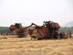 Harvester SK-5M1, unloading grain /// Комбайн СК-5М1, выгрузка зерна
