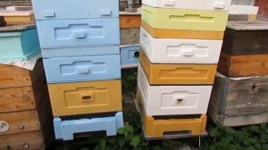 в какой цвет лучше красить улей - ответы на вопросы