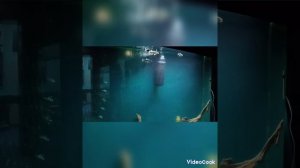 Листвянка зимой