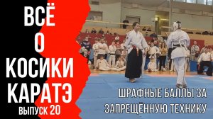 Выпуск 20. Всё о Косики каратэ. Штрафные баллы за запрещённую технику.